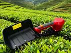 Tea Picking Machine ( U.T.C Brand)