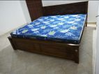 Teak 72x72" Box Bed with Cool Foam Mattress