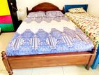 Teak Bed with 9" Spring Mattress