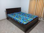 Teak Box Beds 72x60" with Mattress
