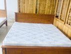 Teak Box Model Bed with Japanese Bonded Form Hybrid Plush Mattress 72x72