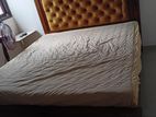 teak divon cushion bed with arpico spring flexifoom metress
