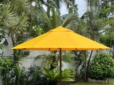 Teak Umbrella