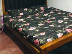 Teak Wood Cushion Bed