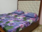 Teak Wood Cushion Bed with Arpico Springs Mattress