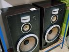 Technics 12" speaker