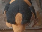 Bog Teddy