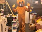 Teddy Costume Rent