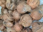 Coconuts