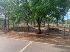 Land for Sale - Jaffna