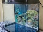 Tempered Glass Fish Tank