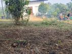 Ten Perches Land for Sale in Homagama