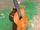 Tenada Classical Guitar