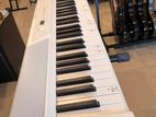 Terence 88Keys Electric Piano