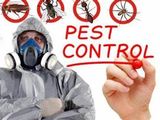 Termite And General Pest Control Treatments