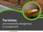 Termite And Insect Control Treatments