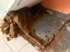 Termite and Pest Control
