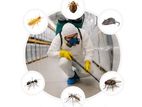 Termite & Pest Control Services