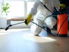 Termite and Pest Control Treatments