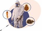 Termite And Rat Control Treatments