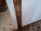 Termite Control and General Pest Treatment