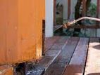 Termite Control(වේයන් මර්දනය)