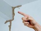 Termite Control(වේයන් මර්දනය)
