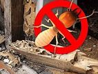 Termite Control(වේයන් මර්දනය)