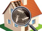 Termite / Pest Control Service