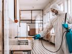 Termite Pest Control Services - Dehiwala