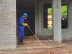 Termite Treatment ( Pest Control)