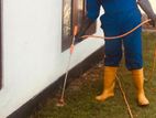 Termite Treatment ( Pest Control )
