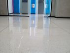 Terrazzo Cut and Polish