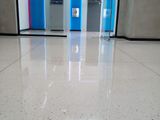Terrazzo Cut and Polish
