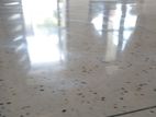 Terrazzo Floors Cut and Polish