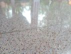 Terrazzo Floors Cut/Polish