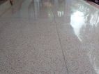 Terrazzo Floors Cut