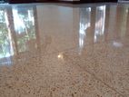 Terrazzo , Titenium Floor Cut and Polish