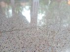 Terrazzo Titenium Floors Cut and Polish
