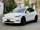 Tesla Model Y B/N UNREGISTERED 2024