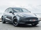 Tesla Model Y Gray 2024