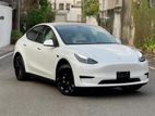Tesla Model Y SUV FULL SPEC 2024