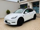 Tesla Model Y White 2024