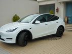 Tesla Model Y White, Black 2024