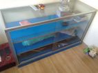 Showcase Cabinet