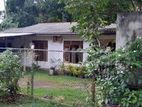 (TH188) Single Storey House for Sale in Katunayaka