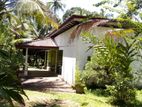 (TH199) Single Storey House for Sale in Gampaha