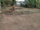 Thalagala Land for Sale