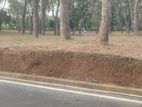 Thalagala Land for Sale in Beruketiya
