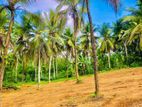 Thalagala new land for sale - Road Facing